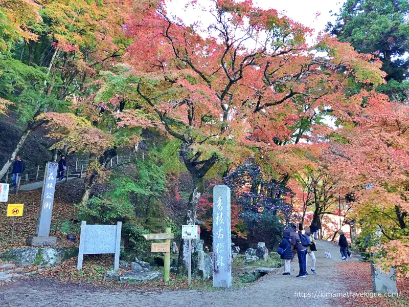 香嵐渓 (5)　もみじのトンネルへ