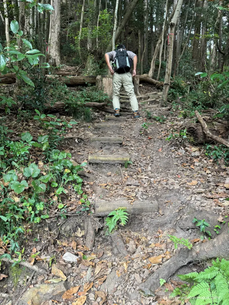 岐阜グランドキャニオン(14)　山道階段