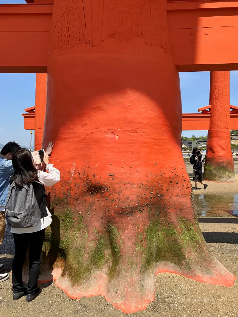 広島02　厳島神社 (37)大鳥居柱　干潮時