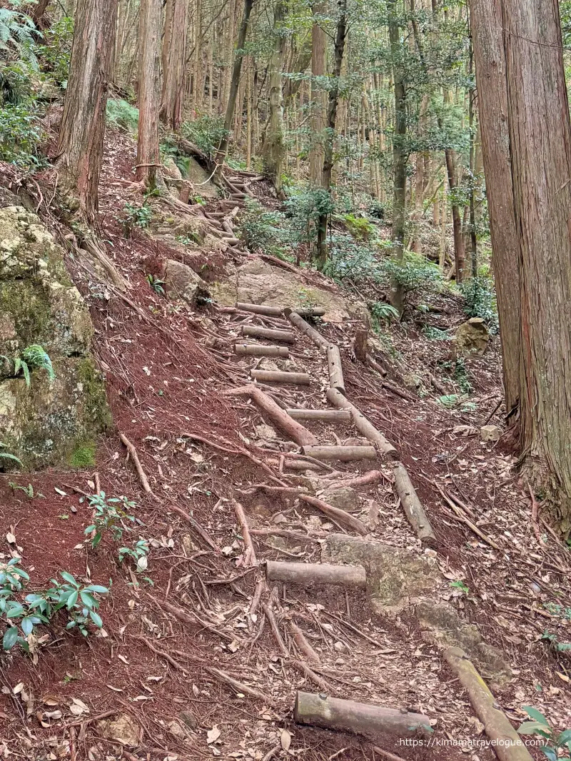 岐阜グランドキャニオン(17)　壱の笑横登り階段