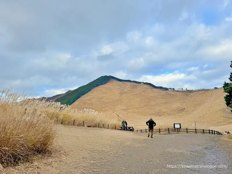 曽爾高原(11)　高原へ