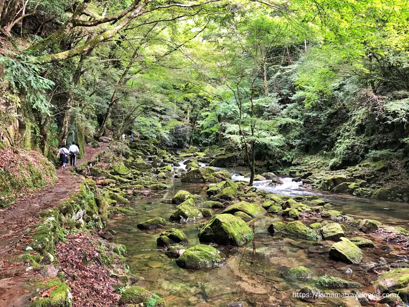 赤目四十八滝 (33)　百畳岩へ向かう散策路