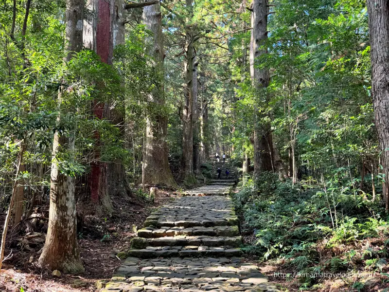 和歌山01　熊野古道(22)大門坂