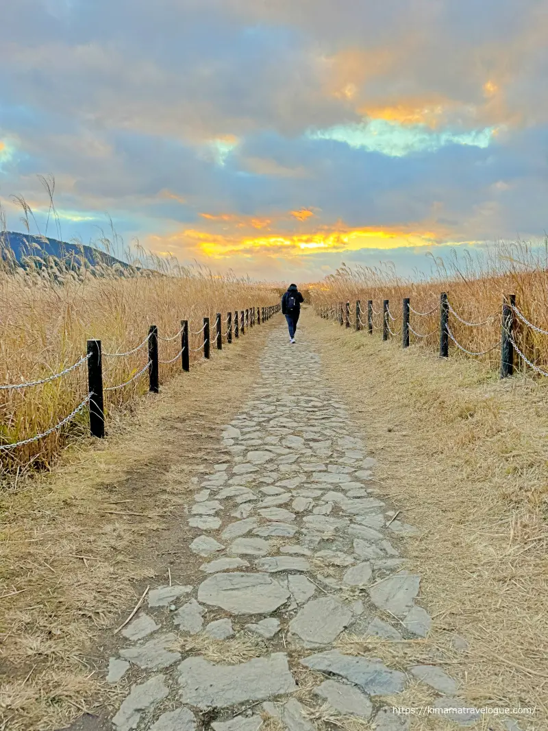 曽爾高原(27)　夕陽に向かって別ルートへ