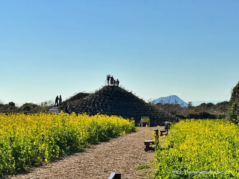 伊良湖18　菜の花ガーデン展望山