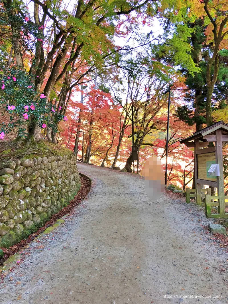 香嵐渓 (6)　もみじのトンネル