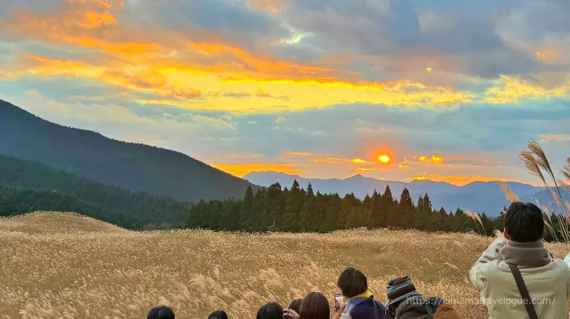 曽爾高原(30)　すすきと夕陽