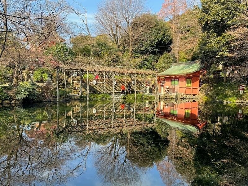 富士山本宮浅間大社37　湧玉池と神社s