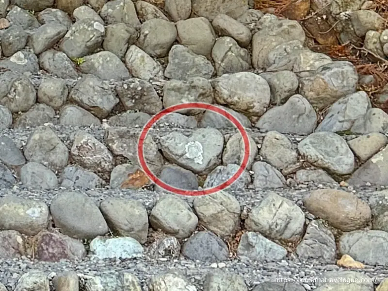 秋葉山本宮秋葉神社(6)　下社階段ハート拡大