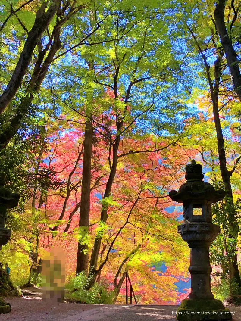 香嵐渓 (25)　香積寺階段上から