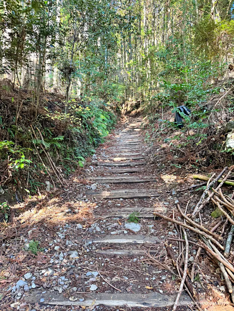 秋葉山本宮秋葉神社(30)　登りの山道