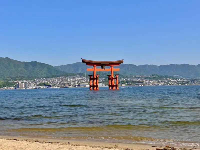 広島02　厳島神社 (29)西松原から大鳥居8時半頃