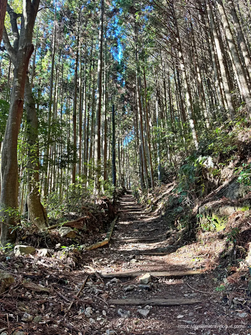 秋葉山本宮秋葉神社(31)　長い登りの山道