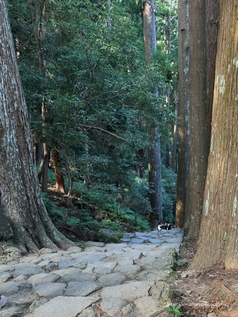 和歌山02　熊野古道(17)那智の滝へ道