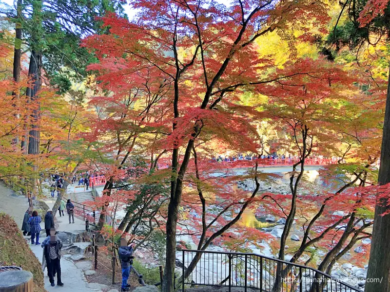 香嵐渓 (9)　待月橋手前