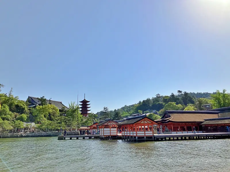 広島02　厳島神社 (30)西松原から火焼前8時半頃