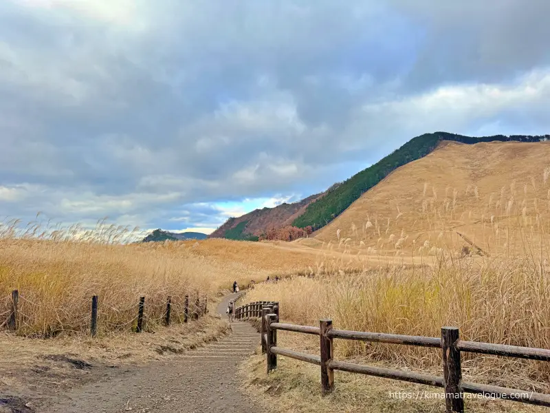 曽爾高原(16)　中央広場への道1