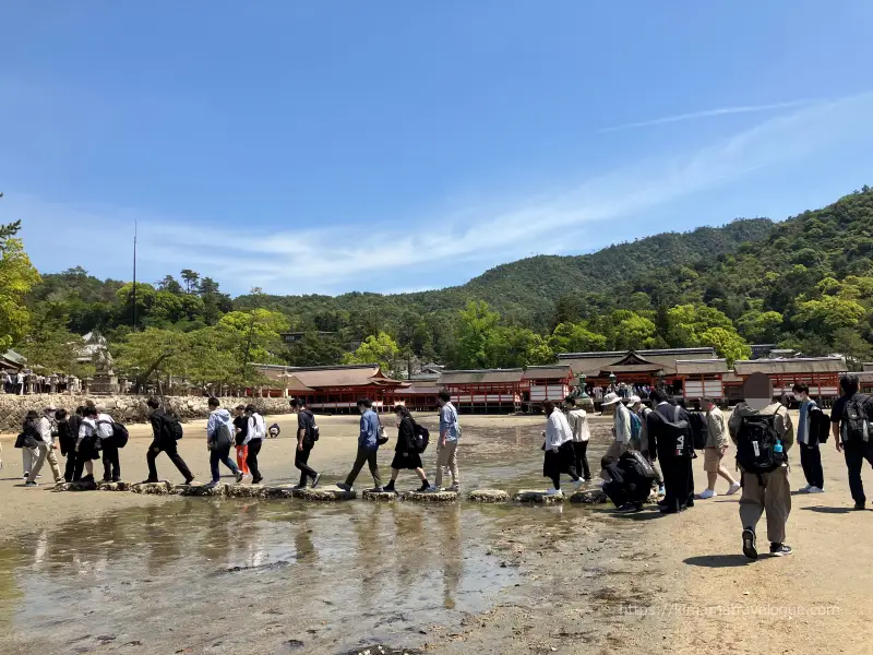 広島02　厳島神社 (38)干潮時　飛び石