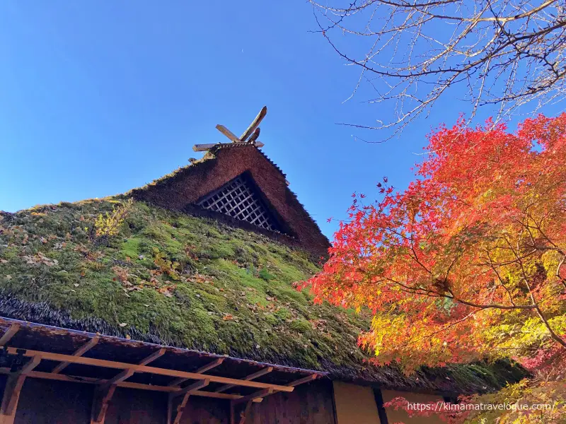 香嵐渓 (12)　苔の生えた屋根ともみじ