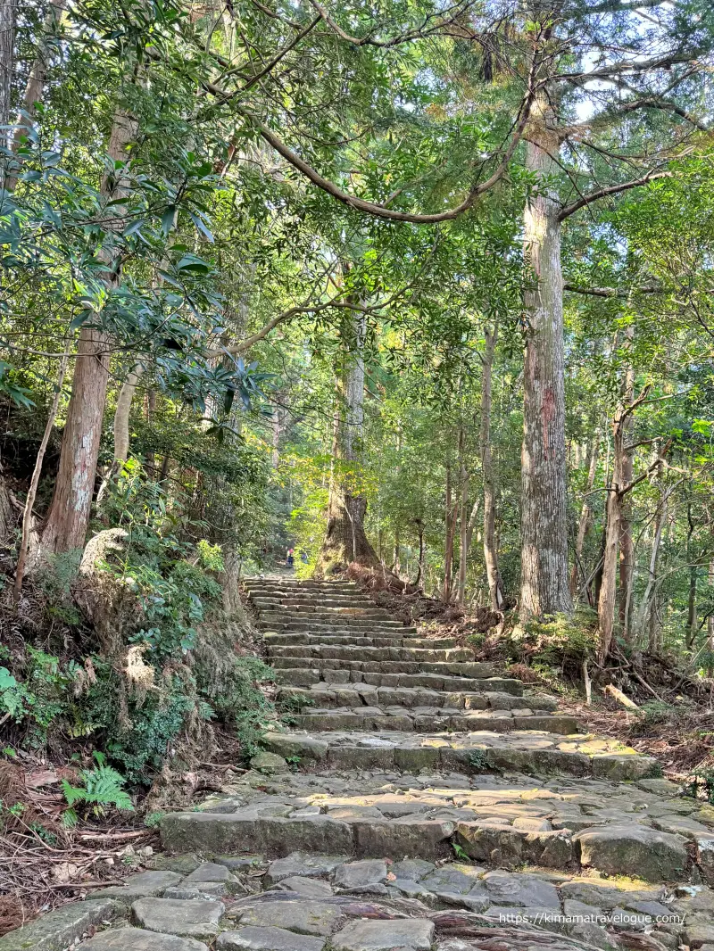 和歌山01　熊野古道(24)大門坂石段