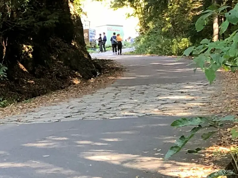 苗木城跡 (2)　道路の石畳