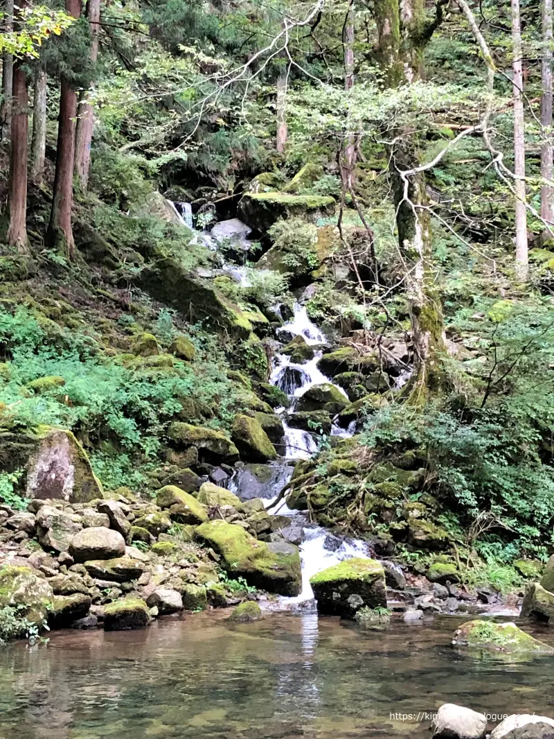 赤目四十八滝 (20)　大日滝