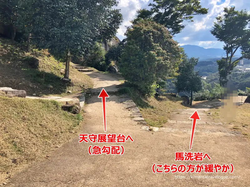 苗木城跡 (47)　馬洗岩への道2