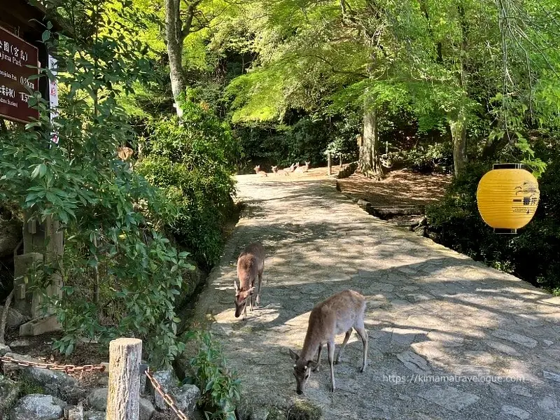 広島04　ロープウエー(7)公園入口