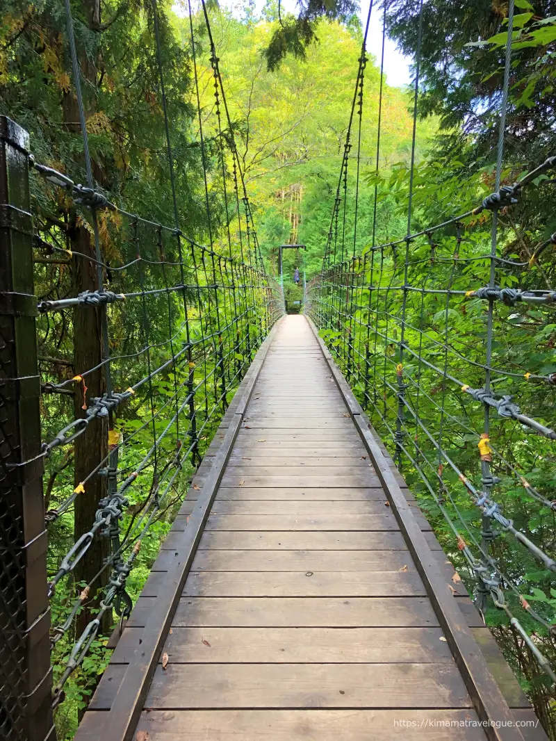 付知峡(6) つり橋