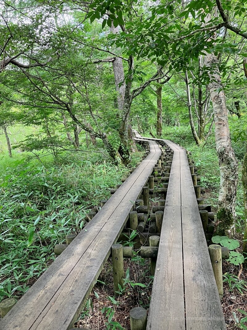 上高地41　梓川右岸コースs