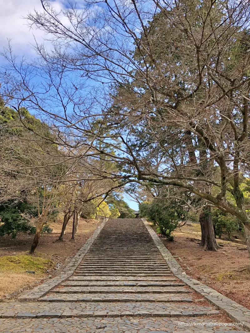 二月堂他(4)猫坂