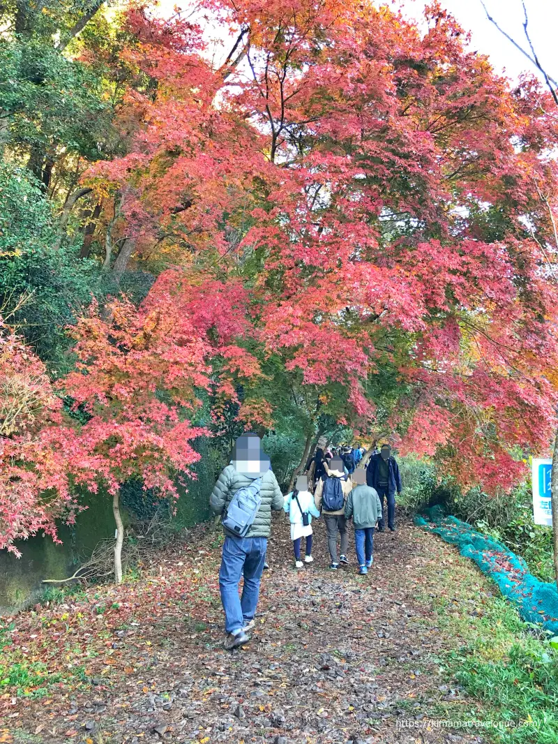 愛岐トンネル (56)　マルシェへの道