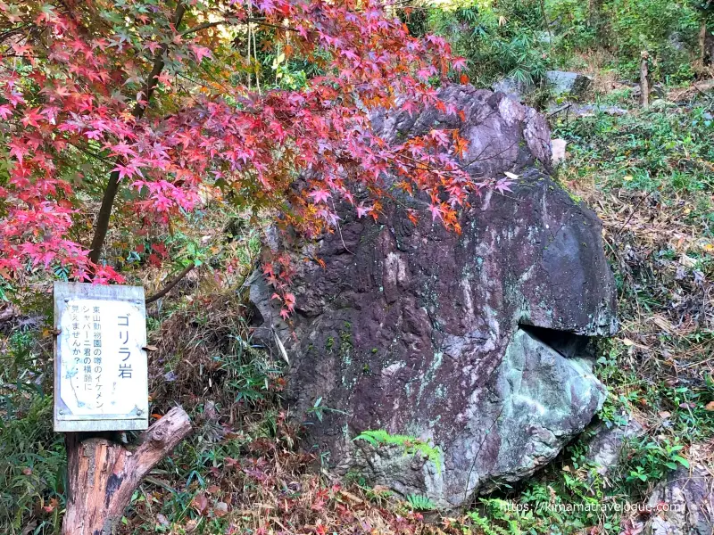 愛岐トンネル (53)　ゴリラ岩