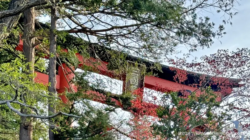 新倉富士浅間神社10　鳥居