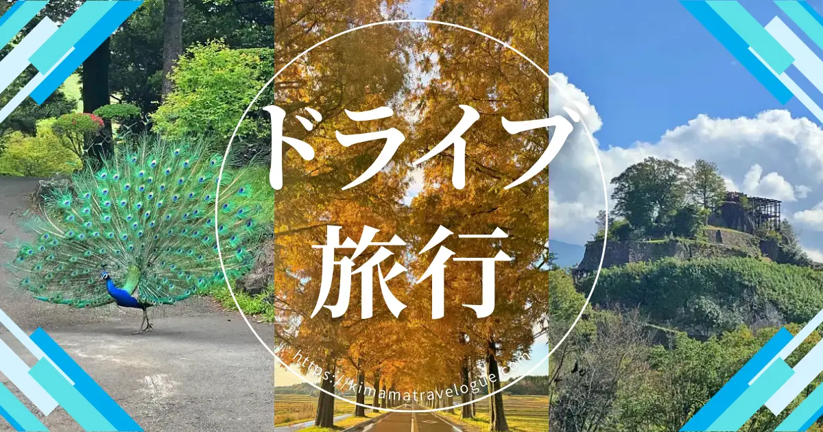カテゴリードライブ旅行W