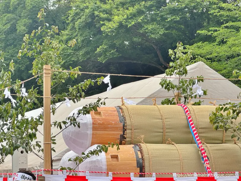 津島神社御神木 斧で切った部分
