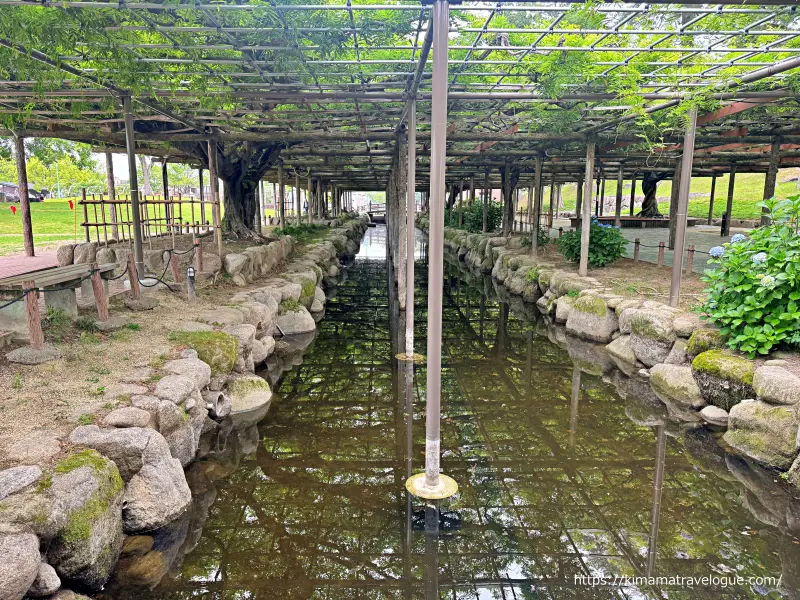 天王川公園 藤棚