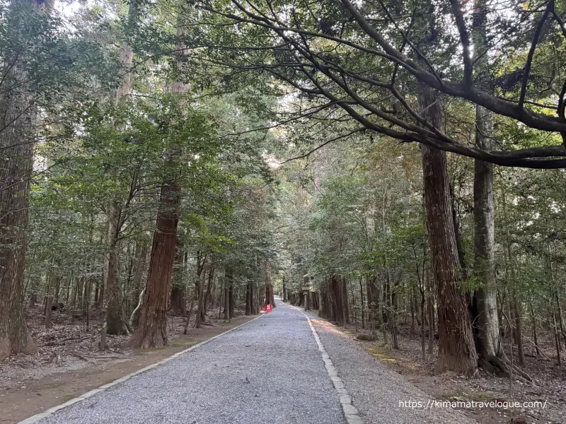 瀧原宮19　参道