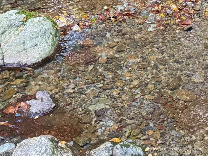 瀧原宮　御手洗場UP