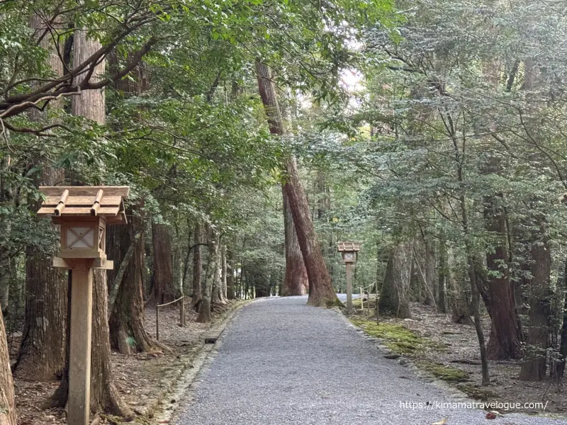 瀧原宮29　ねじれ杉への参道
