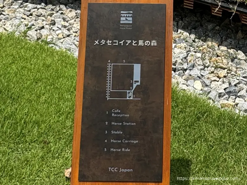 メタセコイアと馬の森看板