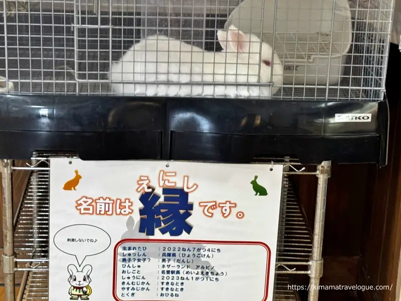 白兎神社 道の駅うさぎ